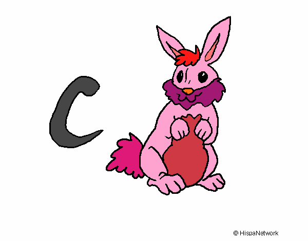 Conejo 1