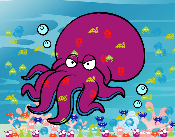 octopus 1  :)