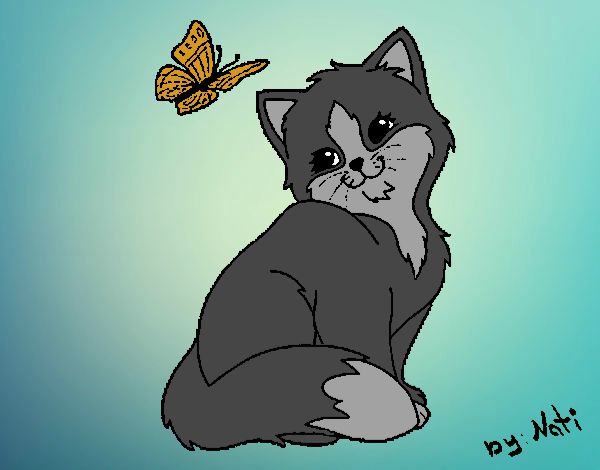 Dibujo Gatito y mariposa pintado por Gorritz
