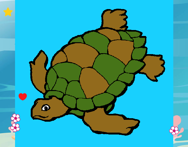 Dibujo Tortuga pintado por LunaLunita