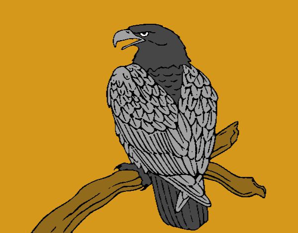 Dibujo Águila en una rama pintado por Gorritz