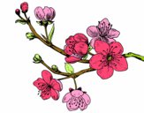 Dibujo Rama de cerezo pintado por MariaJMC