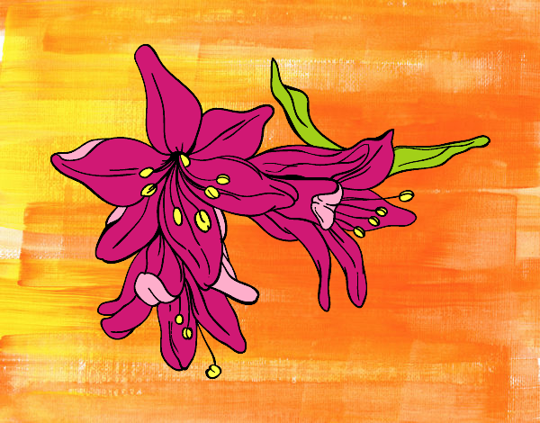 Dibujo Flores de lilium pintado por alis59