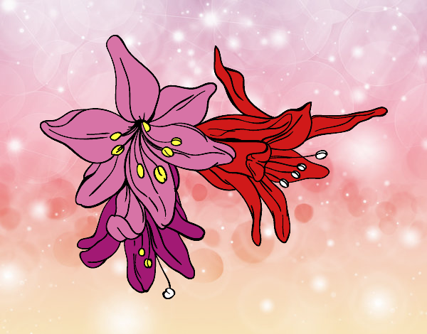 Dibujo Flores de lilium pintado por RocioNayla