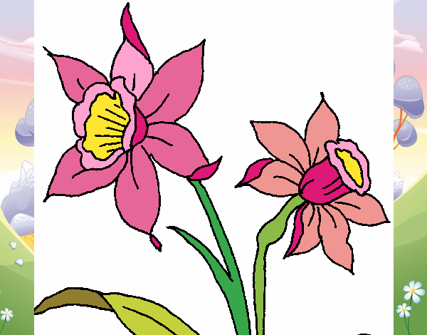 Dibujo Orquídea pintado por alis59