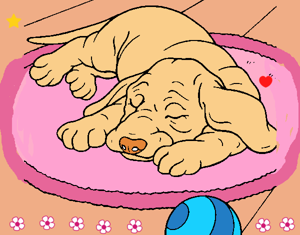 Dibujo Perro durmiendo pintado por LunaLunita