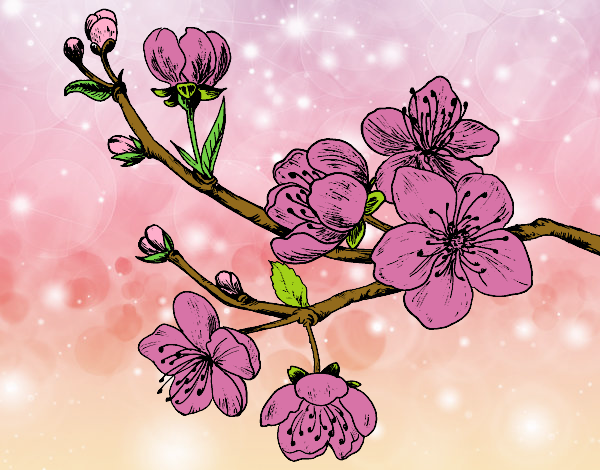 Dibujo Rama de cerezo pintado por valeriskis