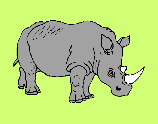 Dibujo Rinoceronte 3 pintado por ivanmoren