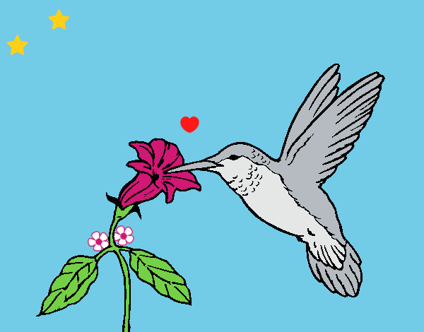 Dibujo Colibrí y una flor pintado por LunaLunita