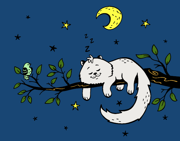 Dibujo El gato y la luna pintado por haruh