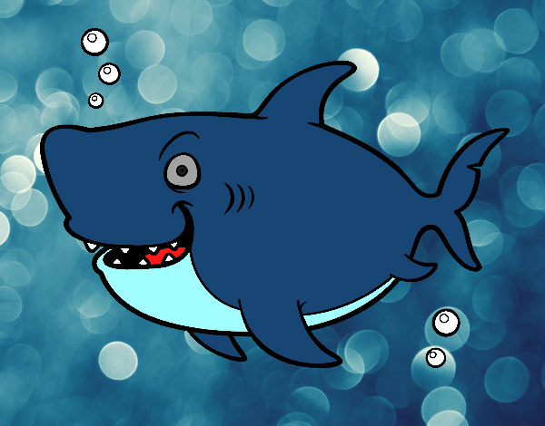 Tiburón ballena