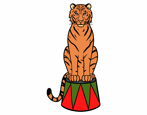 Dibujo Tigre de circo pintado por joseraul