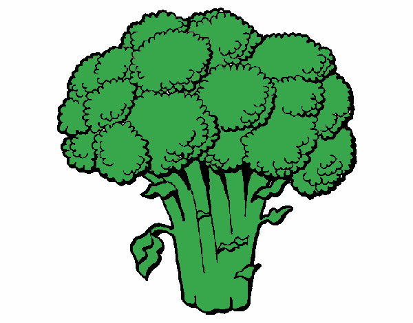 Brócoli 1