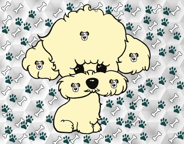 Dibujo Cachorro de poodle pintado por ninoanais