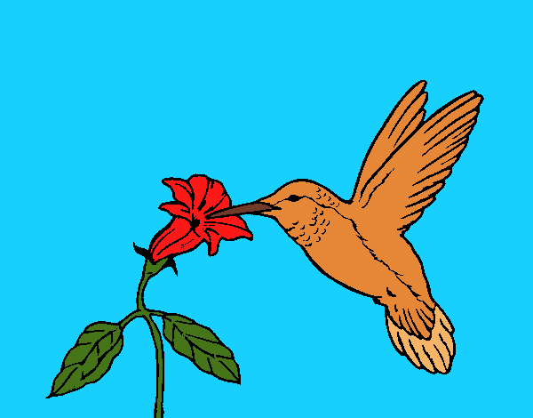 Dibujo Colibrí y una flor pintado por LunaLunita