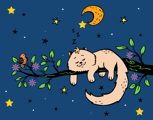 Dibujo El gato y la luna pintado por LunaLunita