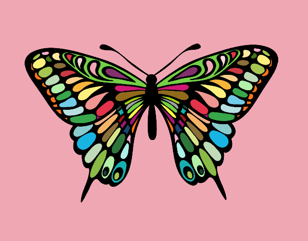 Dibujo Mariposa gran mormón pintado por painter
