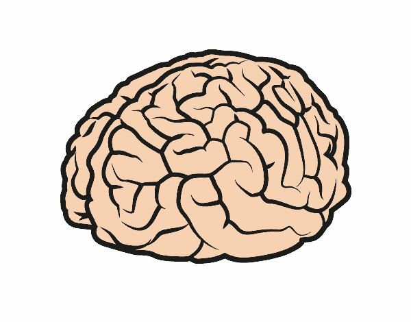 Dibujo Cerebro pintado por kjdfshiudf