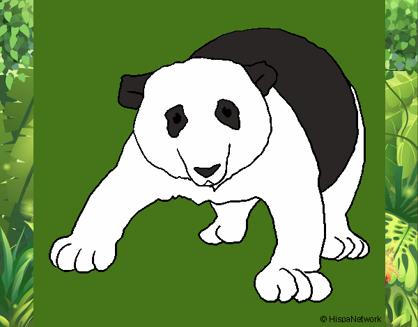 Dibujo Oso panda 1 pintado por lunadangel