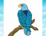 Dibujo Águila en una rama pintado por Kenndy