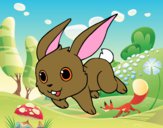 Dibujo Conejo de campo pintado por rosa303060