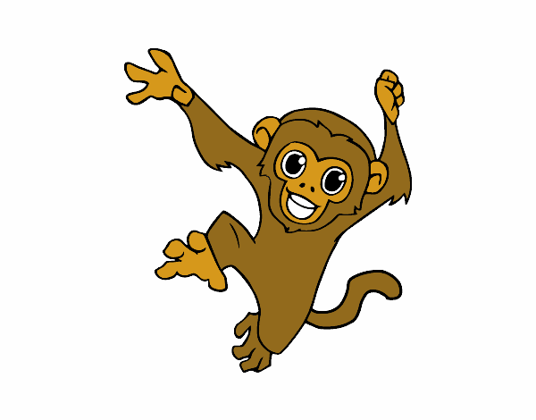 Mono capuchino bebé