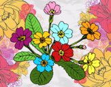 Dibujo Primula pintado por millares