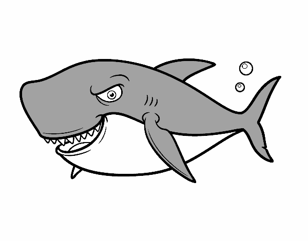 Dibujo Tiburón dentudo pintado por nickdulce