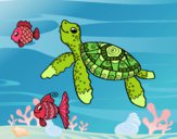 Dibujo Tortuga de mar con peces pintado por valeterry