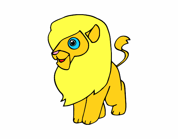 Un león