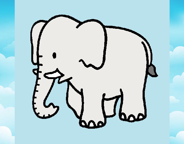 Dibujo Elefante bebe pintado por ximena11