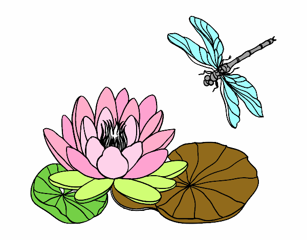 Dibujo Flor de loto pintado por charis