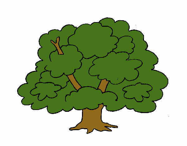 Dibujo de Árbol pintado por en Dibujos.net el día 15-09-15 a las 02:37: