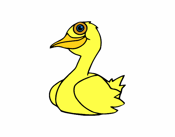 Dibujo Un pato pintado por sufrit
