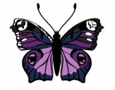 Dibujo Mariposa 20 pintado por yly