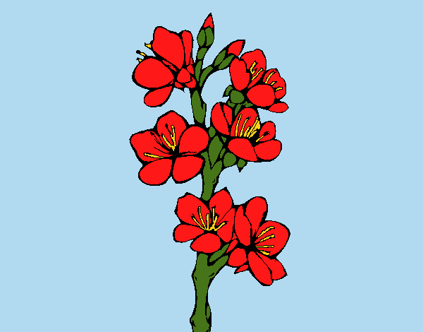 Dibujo Flores de campo pintado por LunaLunita