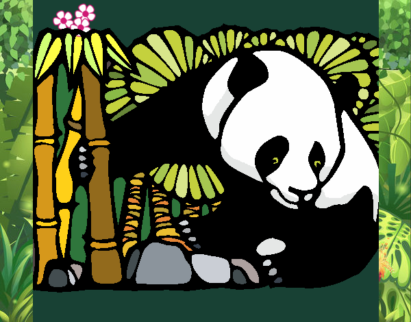 Dibujo Oso panda y bambú pintado por GaMzEe