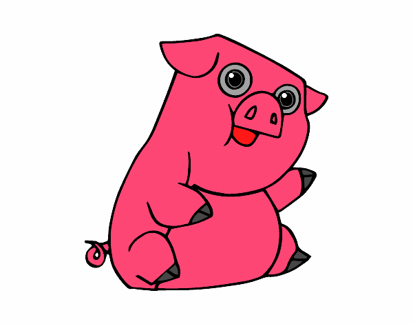 Un cerdo 