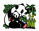 Dibujo Mama panda pintado por maria20042