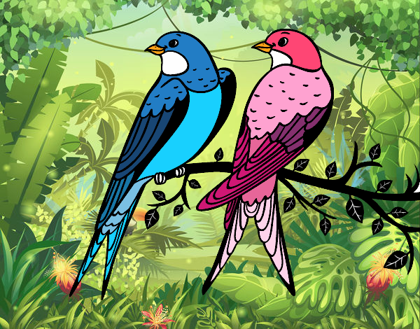 Dibujo Pareja de pájaros pintado por maria20042
