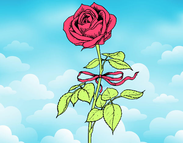 Dibujo Una rosa pintado por nuverroja