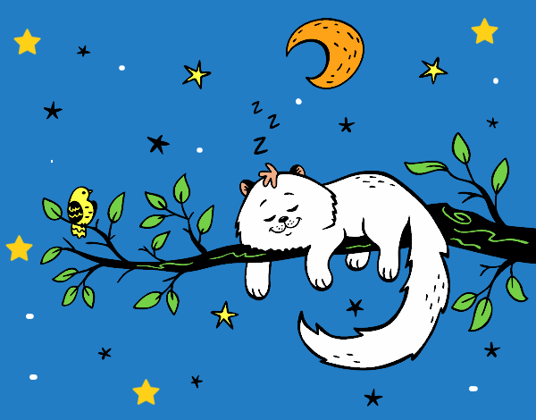 Dibujo El gato y la luna pintado por LunaLunita