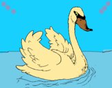 Dibujo Cisne en el agua pintado por LunaLunita