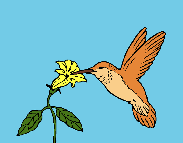 Dibujo Colibrí y una flor pintado por LunaLunita