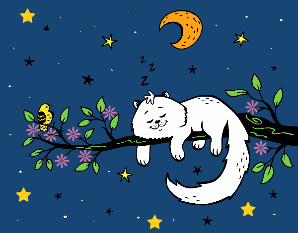 Dibujo El gato y la luna pintado por LunaLunita