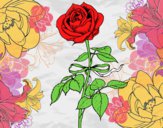 Dibujo Una rosa pintado por zebazpvd