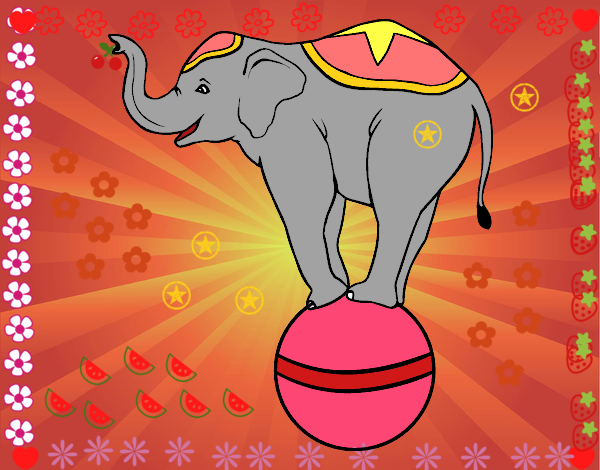 Dibujo Elefante equilibrista pintado por Maximin
