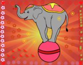 Dibujo Elefante equilibrista pintado por Maximin