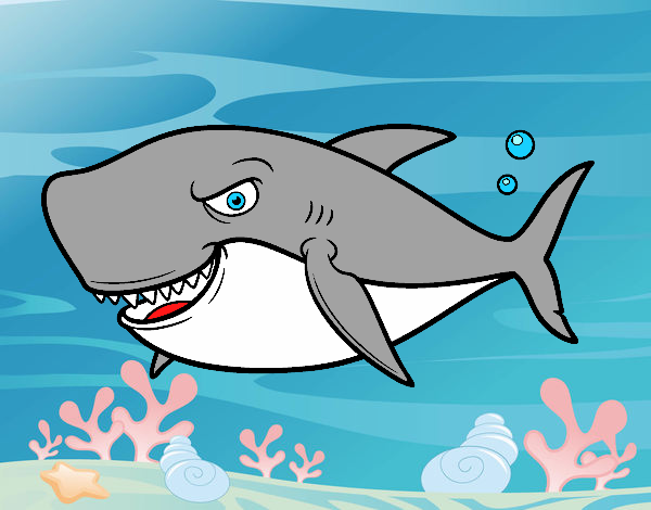 Dibujo Tiburón dentudo pintado por Daniel777