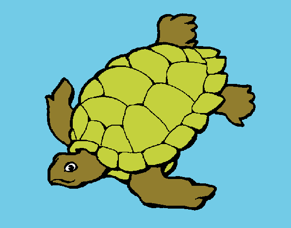 Dibujo Tortuga pintado por LunaLunita